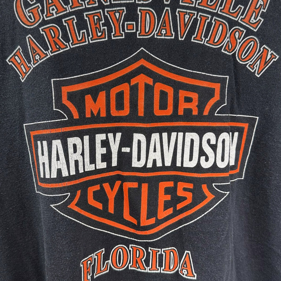 GAINESVILLE HARLEY-DAVIDSON FLORIDA FLAME XL 背面プリント アップ