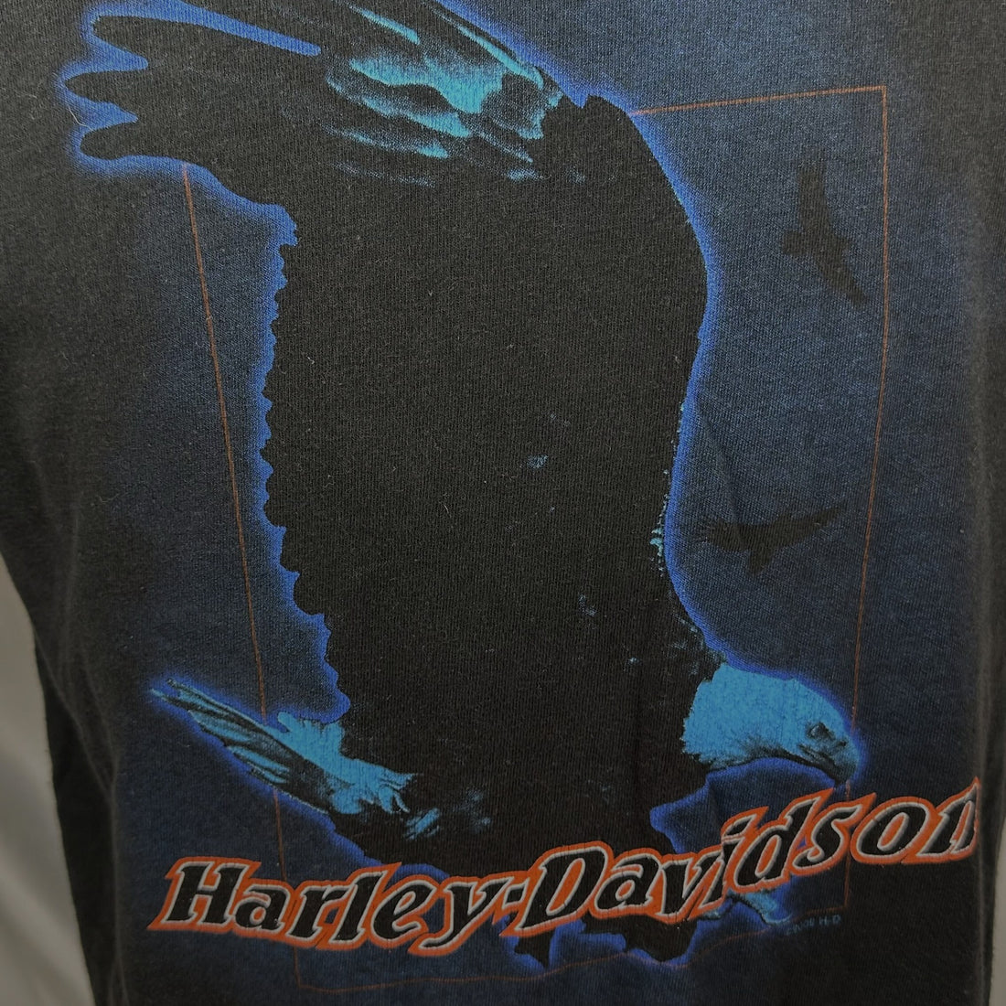 HARLEY-DAVIDSON FACTORY TOUR KANSAS CITY EAGLE L 胸元プリント アップ