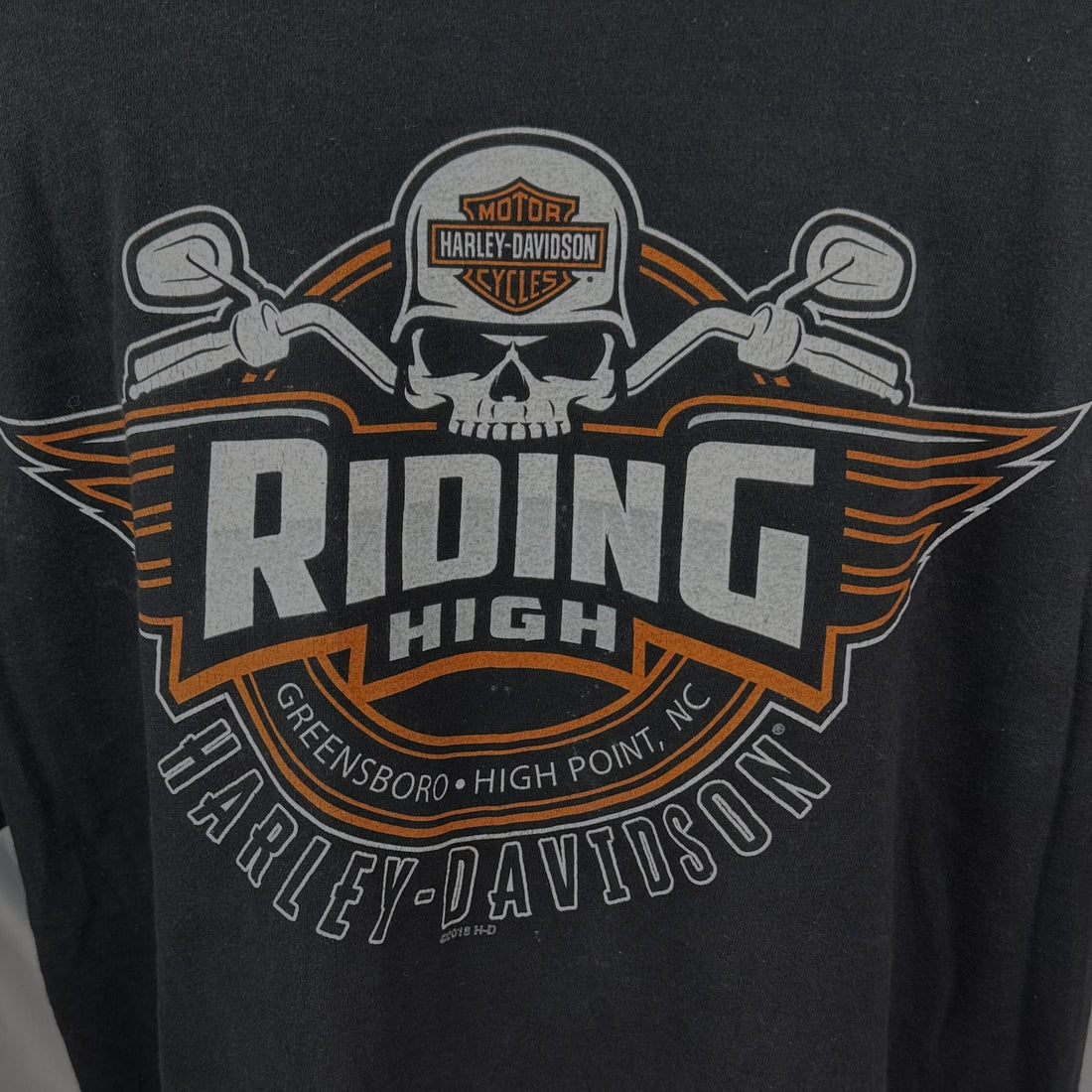 HARLEY-DAVIDSON FEELIN LUCKY RIDING HIGH XL 背面プリント アップ