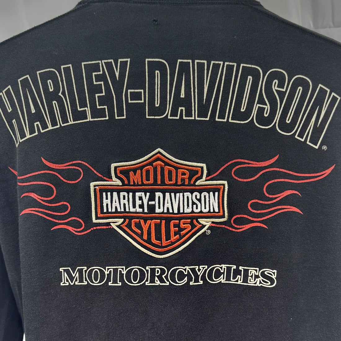 HARLEY-DAVIDSON FLAME SLEEVE EMBROIDERED LOGO LS M 背面プリント アップ