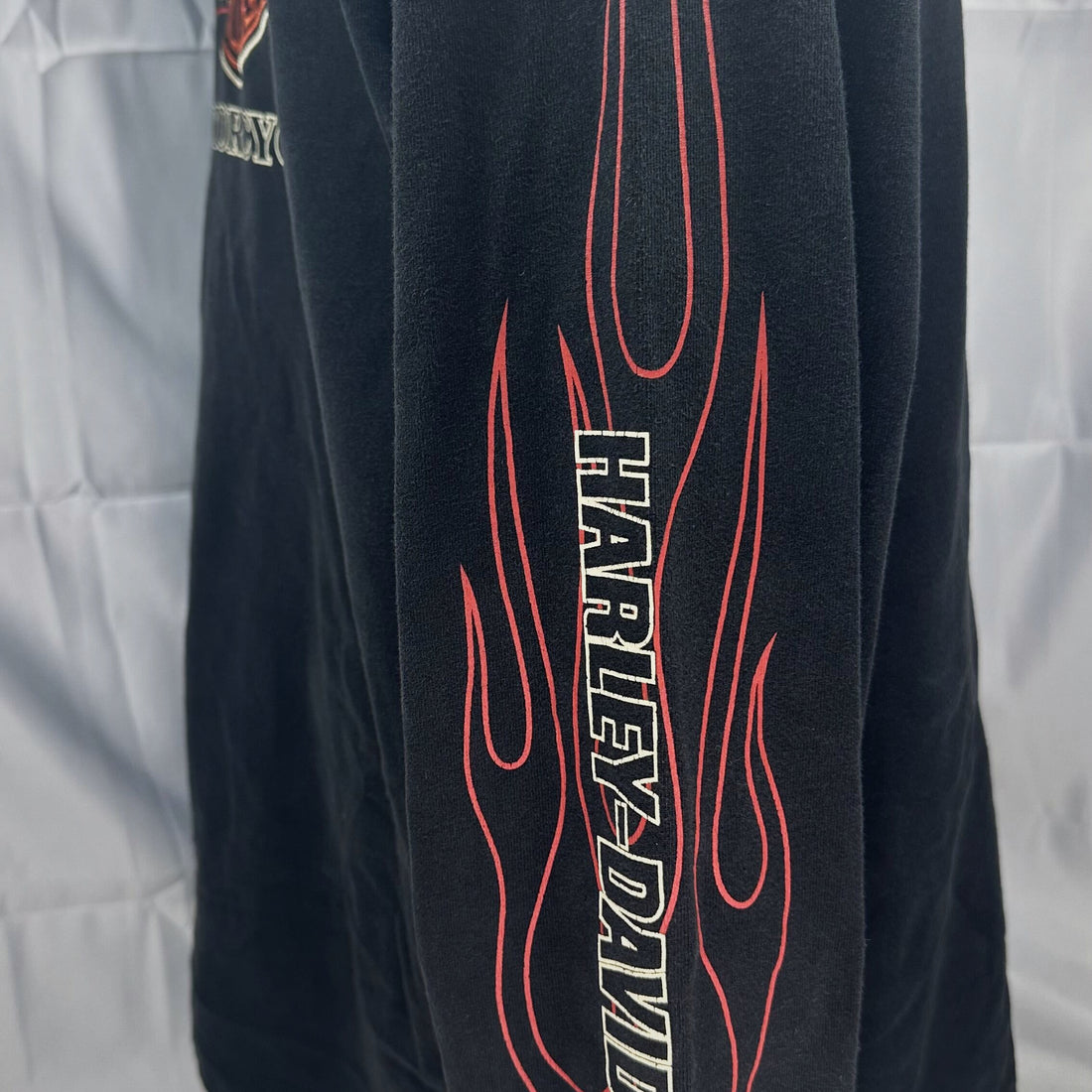 HARLEY-DAVIDSON FLAME SLEEVE EMBROIDERED LOGO LS M 袖の炎 プリント
