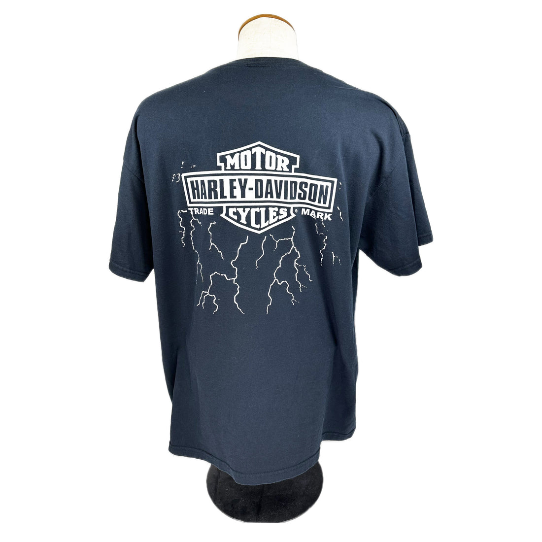 HARLEY-DAVIDSON FLAMING SKULL LIGHTNING L 背面 バー＆シールドと稲妻
