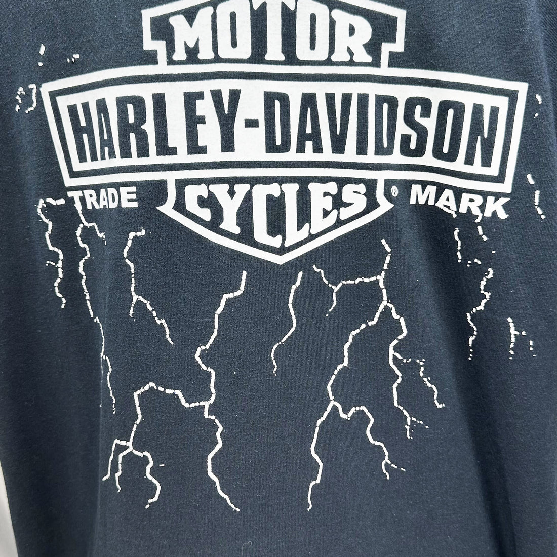 HARLEY-DAVIDSON FLAMING SKULL LIGHTNING L 背面プリント アップ