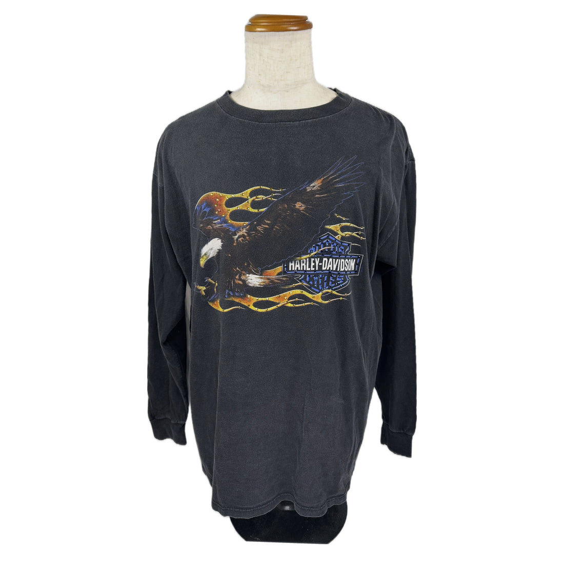 HARLEY-DAVIDSON OF APPLETON WISCONSIN FLAME EAGLE LS XL 正面 炎のイーグル