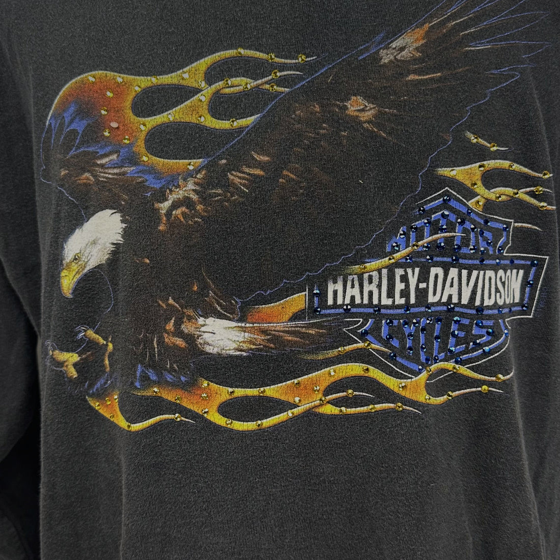 HARLEY-DAVIDSON OF APPLETON WISCONSIN FLAME EAGLE LS XL 正面プリント アップ