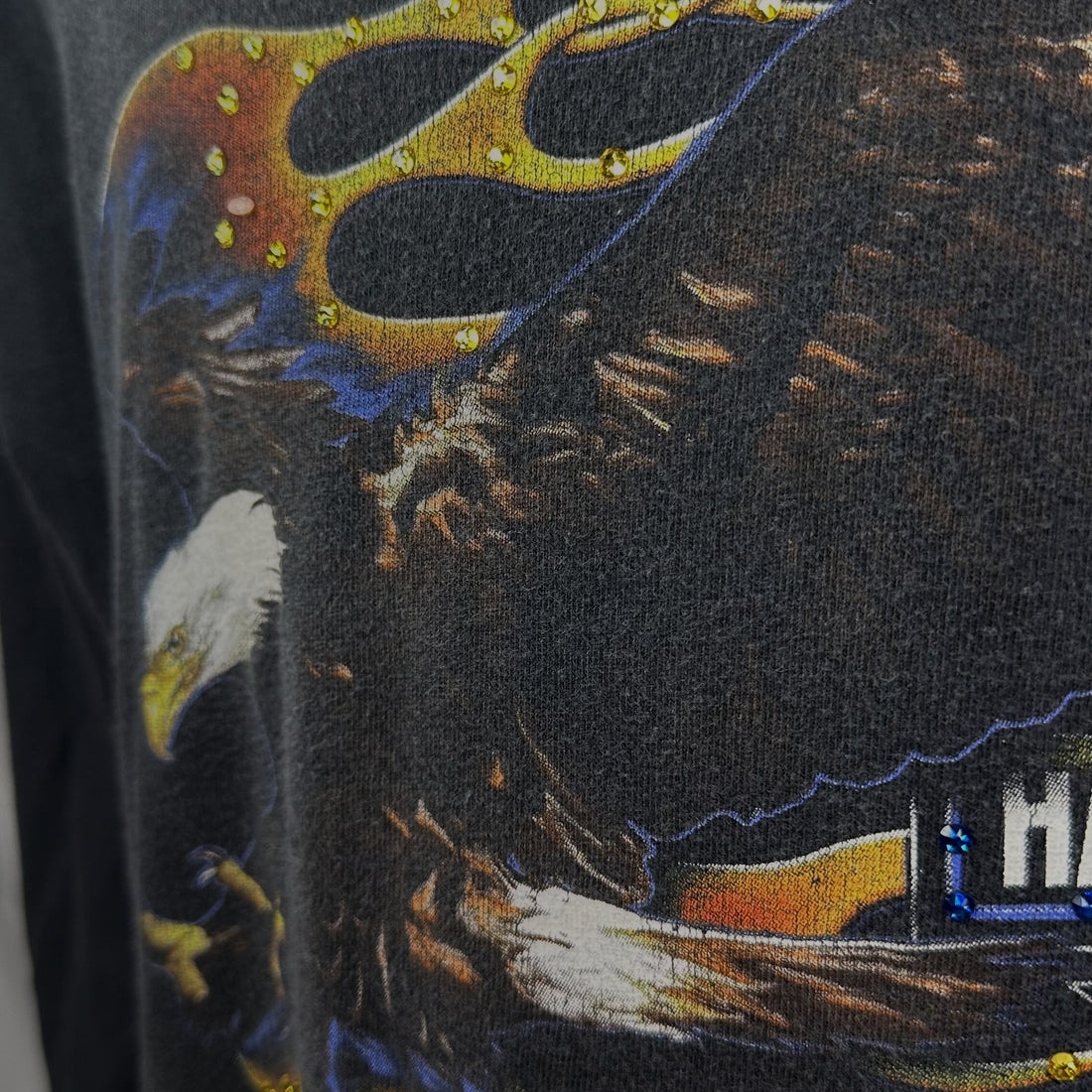 HARLEY-DAVIDSON OF APPLETON WISCONSIN FLAME EAGLE LS XL ラインストーン ディテール