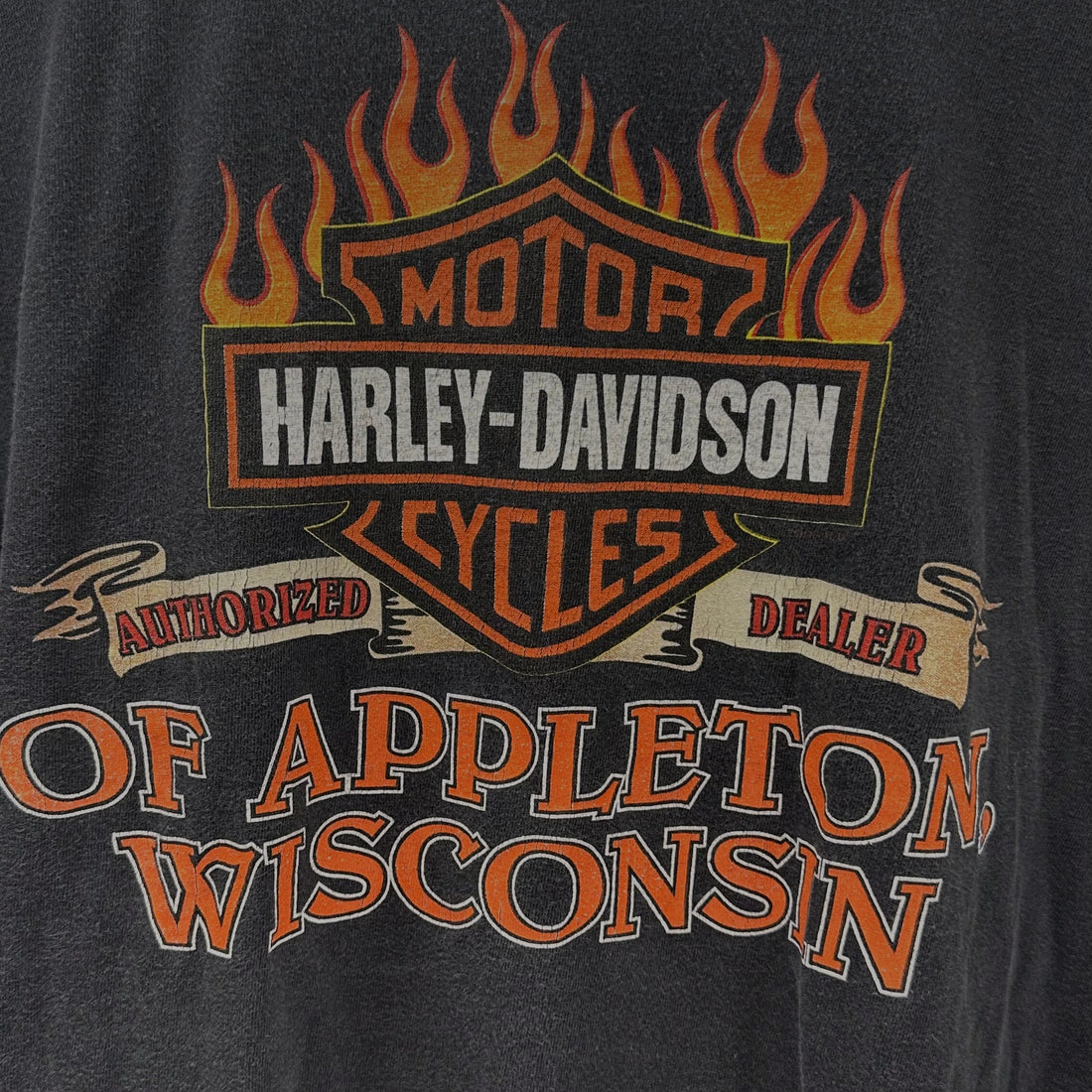 HARLEY-DAVIDSON OF APPLETON WISCONSIN FLAME EAGLE LS XL 背面プリント アップ