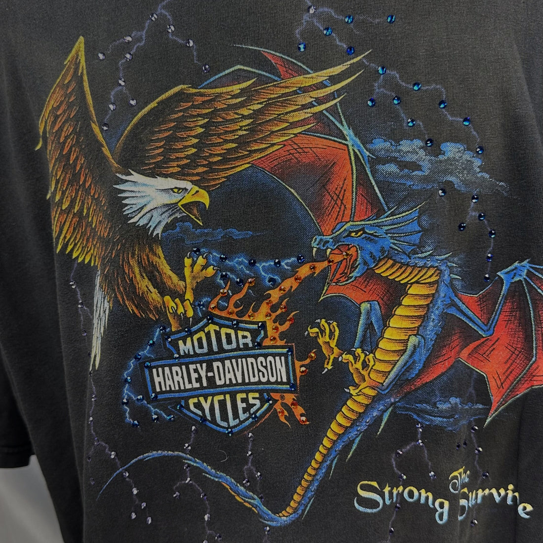 JIMS HARLEY-DAVIDSON ST PETE BEACH EAGLE DRAGON 3XL 正面プリント アップ