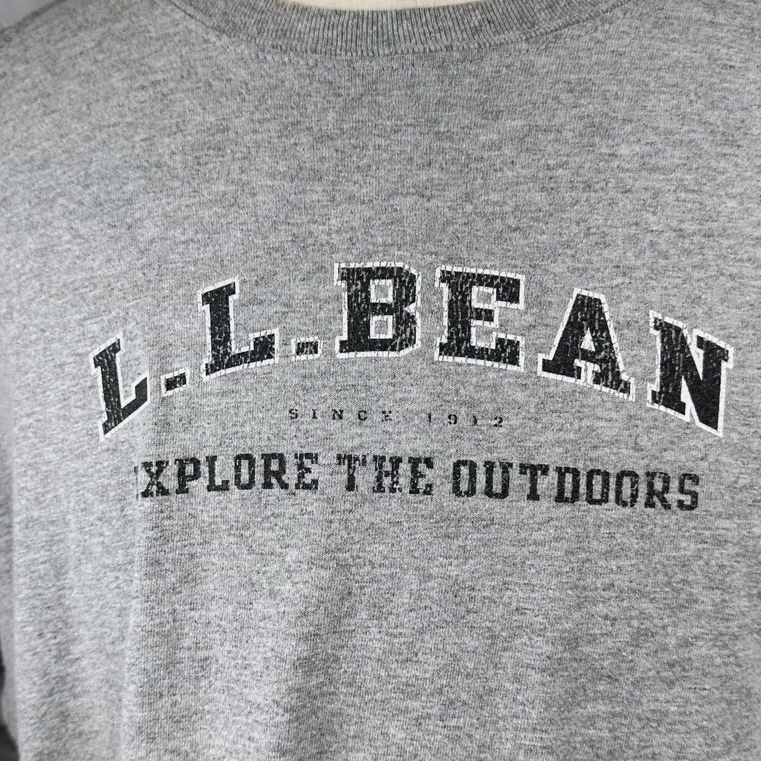 L.L.BEAN XPLORE THE OUTDOORS XL 胸元プリント アップ