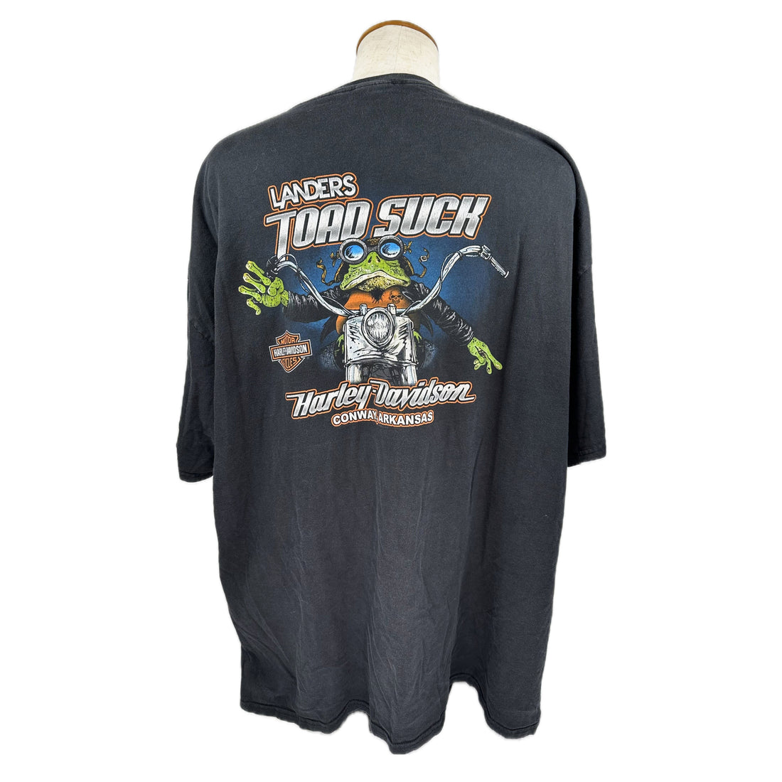 LANDERS TOAD SUCK HARLEY-DAVIDSON CONWAY ARKANSAS FROG 2XL 背面 Toad Suck プリント