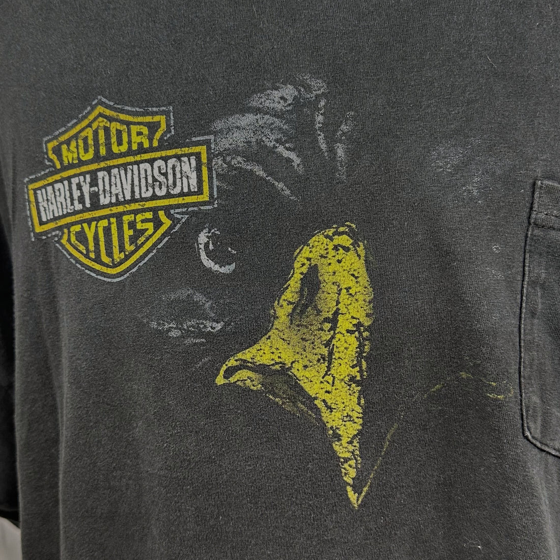 LANDERS TOAD SUCK HARLEY-DAVIDSON CONWAY ARKANSAS FROG 2XL 正面プリント アップ