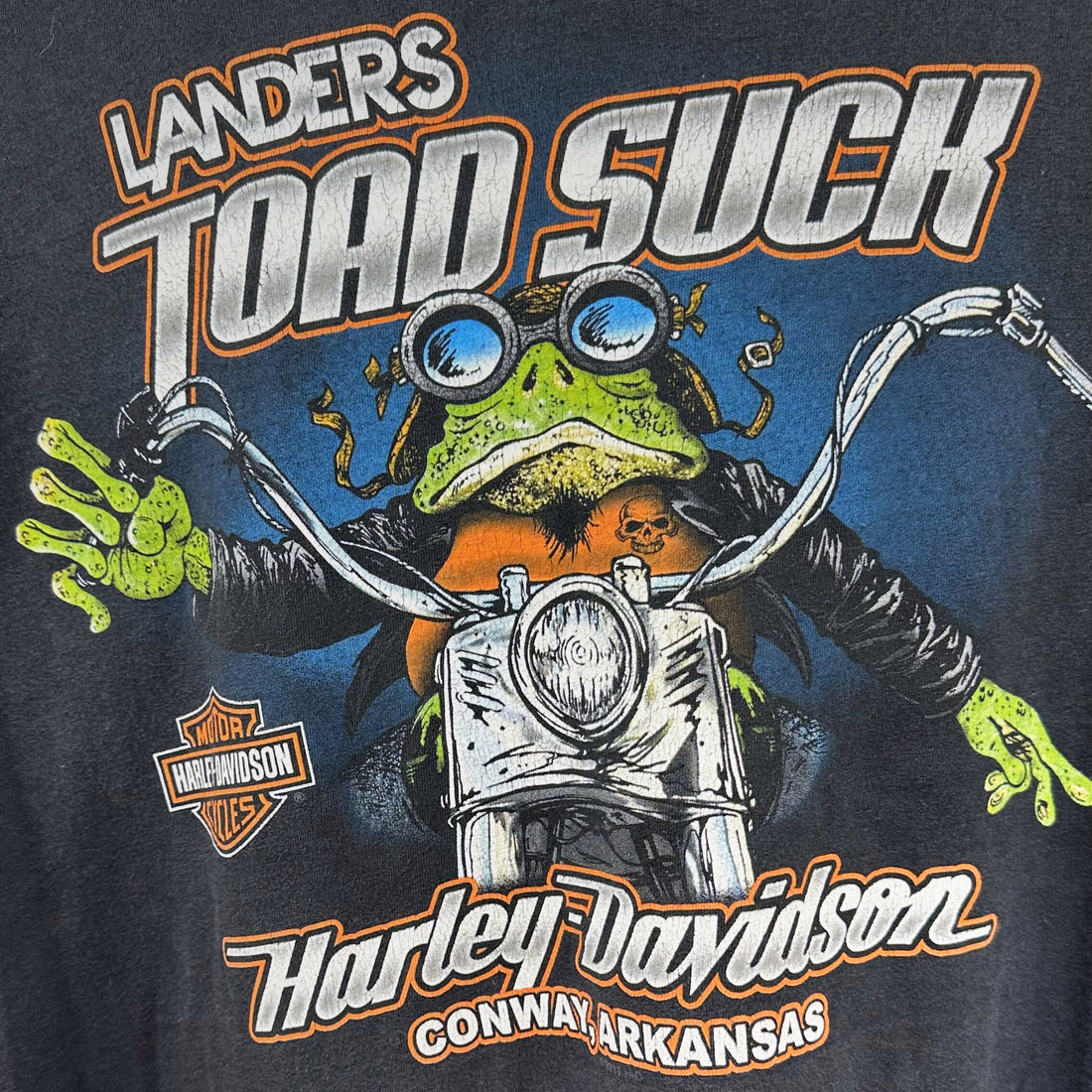 LANDERS TOAD SUCK HARLEY-DAVIDSON CONWAY ARKANSAS FROG 2XL 背面プリント アップ