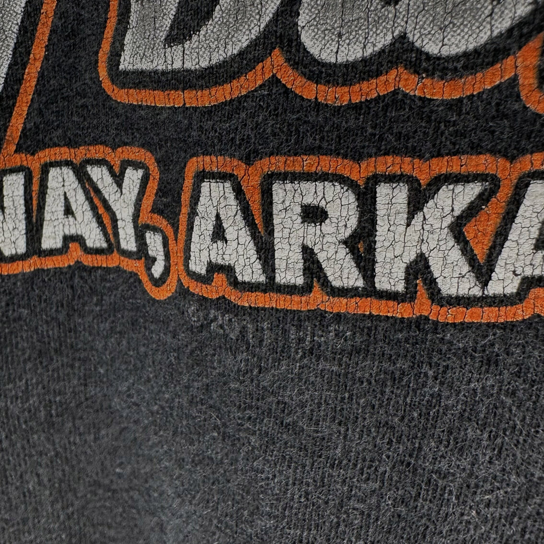 LANDERS TOAD SUCK HARLEY-DAVIDSON CONWAY ARKANSAS FROG 2XL プリント ディテール