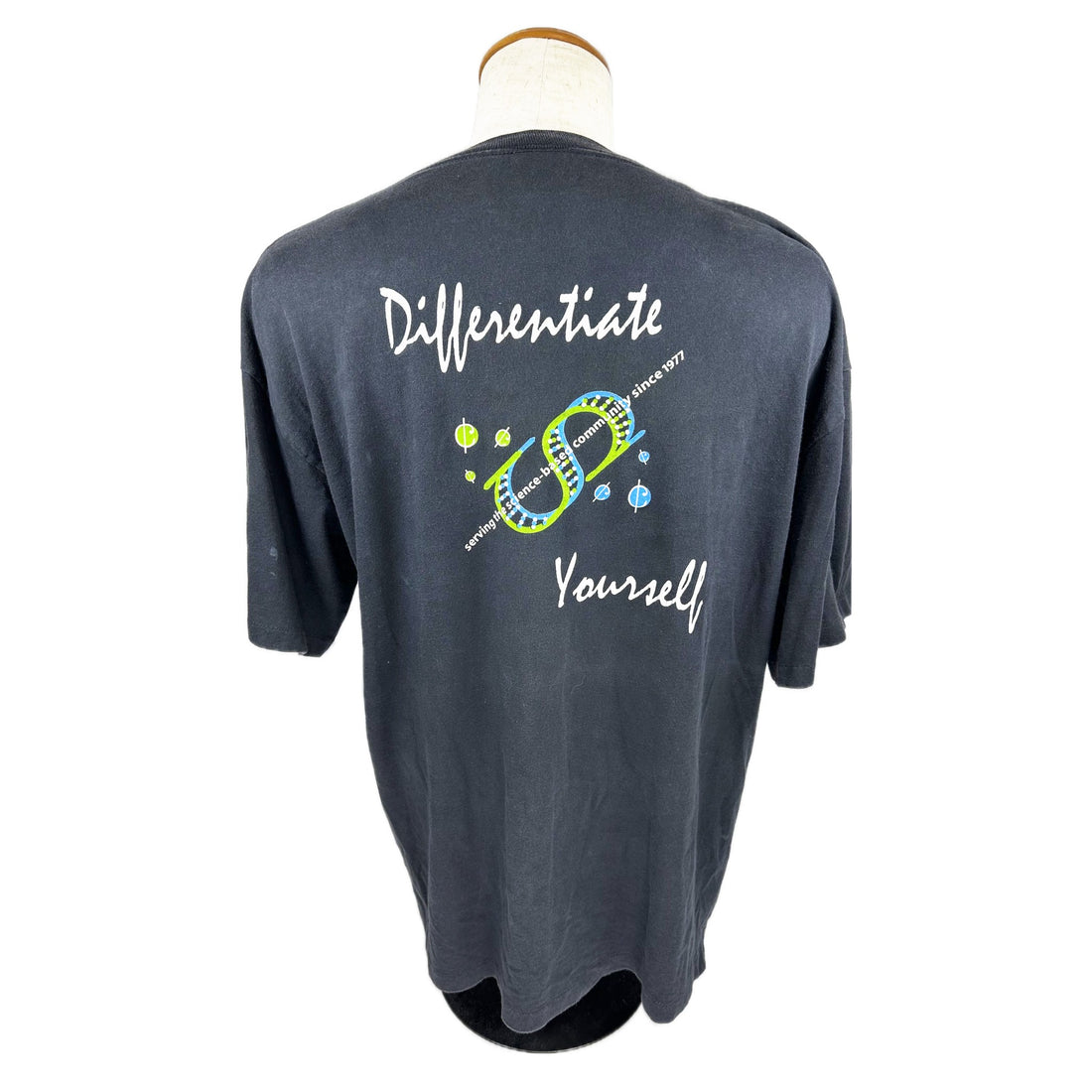 SB1 FEDERAL CREDIT UNION DIFFERENTIATE YOURSELF XL 背面 Differentiate Yourself