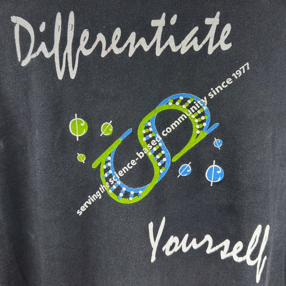 SB1 FEDERAL CREDIT UNION DIFFERENTIATE YOURSELF XL 背面プリント アップ