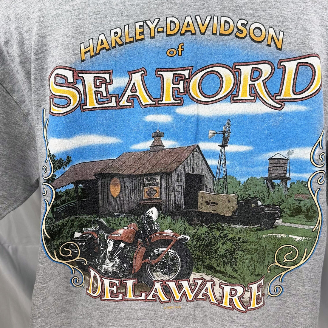 SEAFORD HARLEY-DAVIDSON DELAWARE TIE DYE L 背面プリント アップ