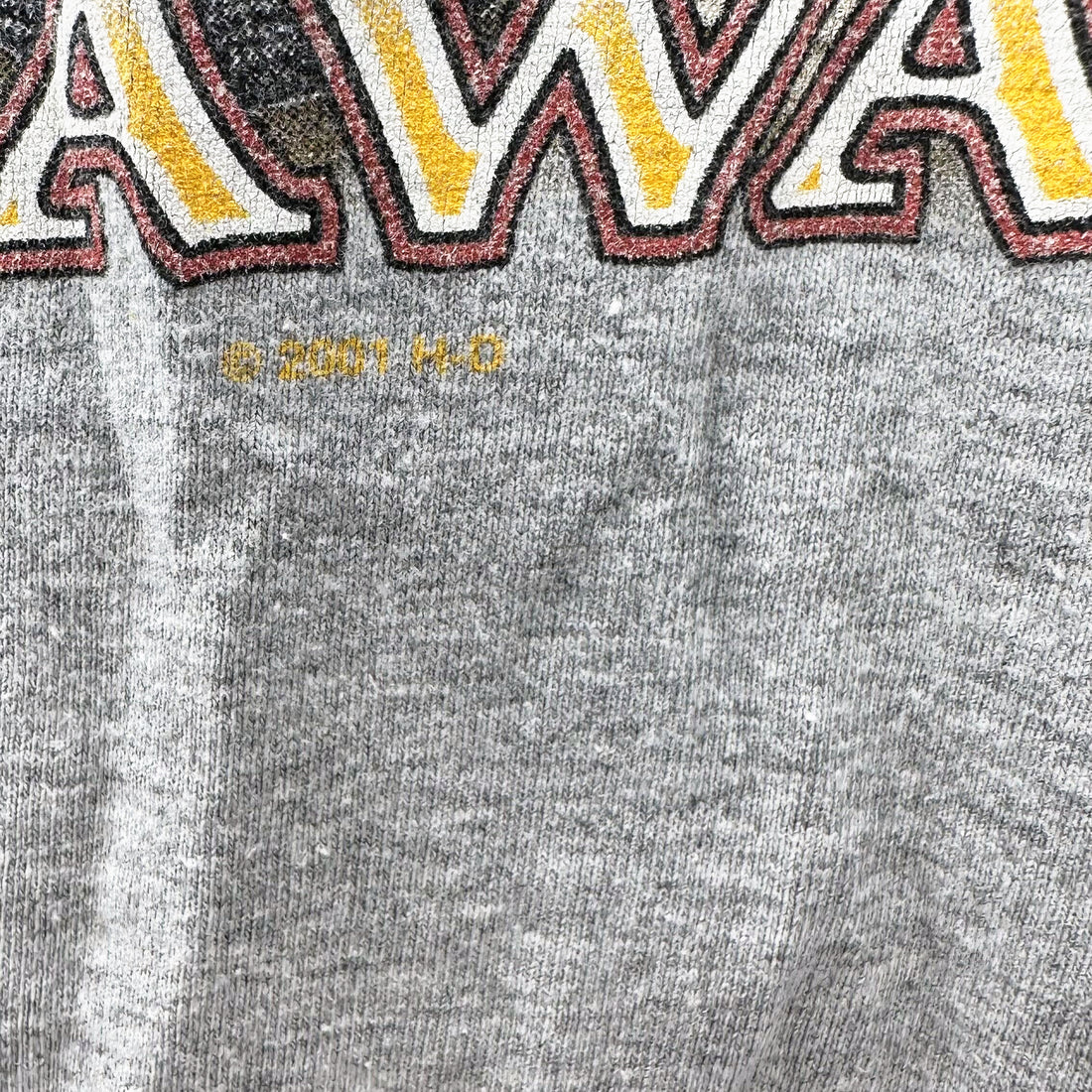 SEAFORD HARLEY-DAVIDSON DELAWARE TIE DYE L プリント ディテール