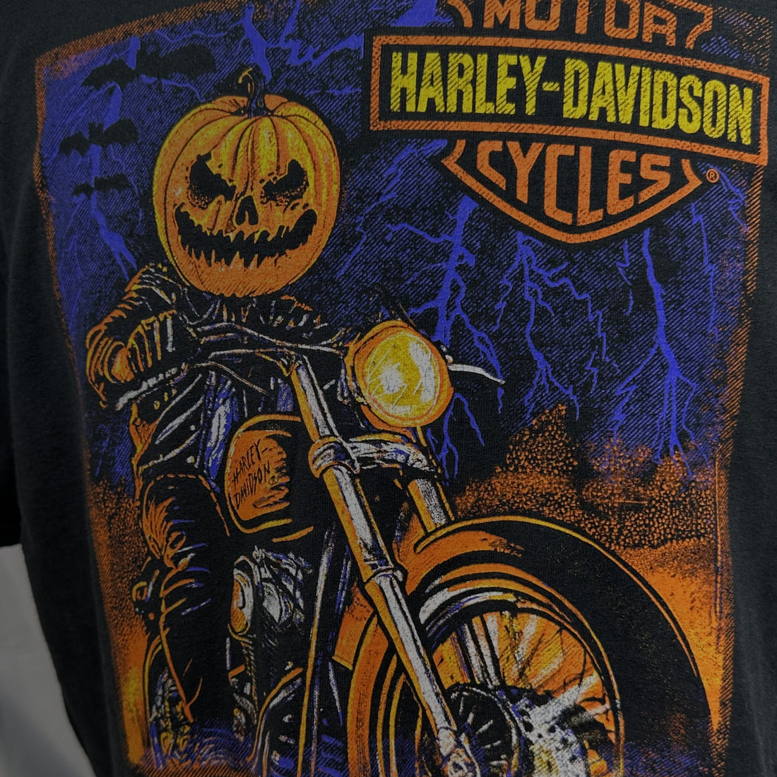 SOUTHERN THUNDER HARLEY-DAVIDSON SOUTHAVEN PUMPKIN RIDER L 正面プリント アップ