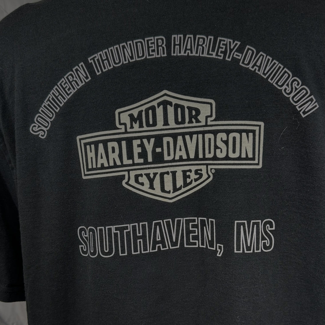 SOUTHERN THUNDER HARLEY-DAVIDSON SOUTHAVEN PUMPKIN RIDER L 背面ロゴ アップ