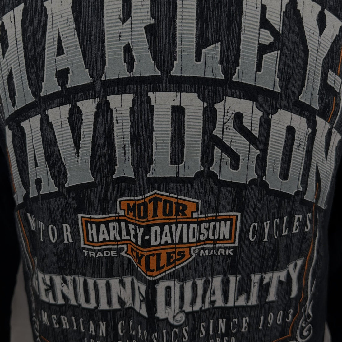 SOUTHSIDE HARLEY-DAVIDSON VIRGINIA BEACH LS M 胸元プリント アップ