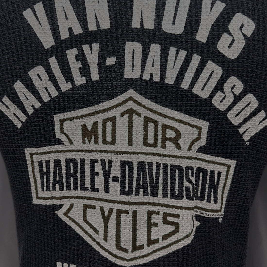 VAN NUYS HARLEY-DAVIDSON FLAME EAGLE THERMAL LS M 背面プリント アップ