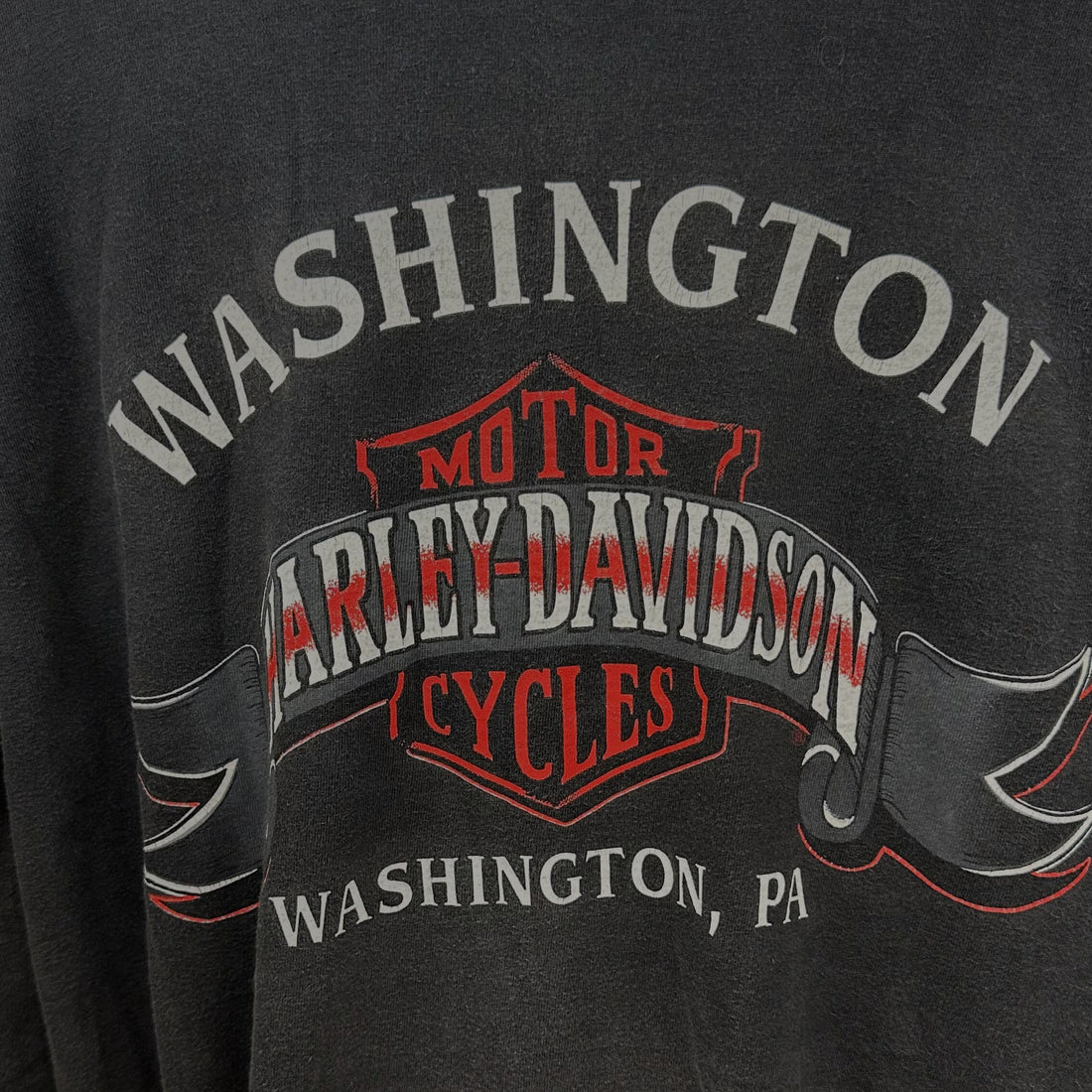 WASHINGTON HARLEY-DAVIDSON PENNSYLVANIA EAGLE 3XL 背面プリント アップ