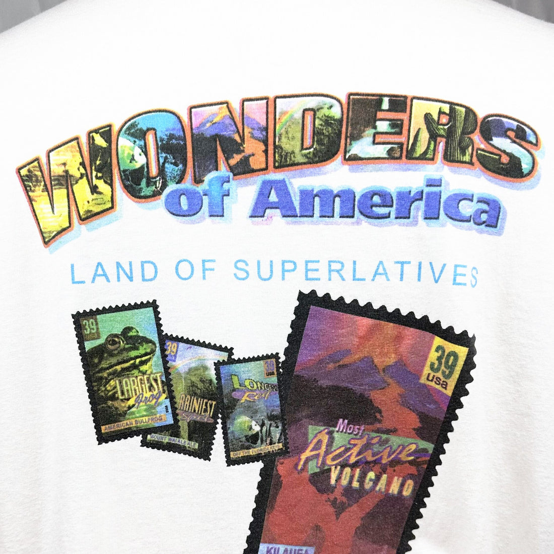 WONDERS OF AMERICA STAMP L 背面プリント アップ